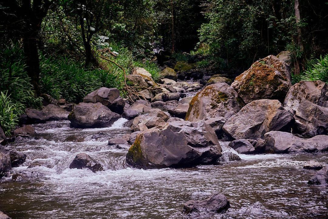 Готель Kilimanjaro Foothills Getaway Моші Екстер'єр фото