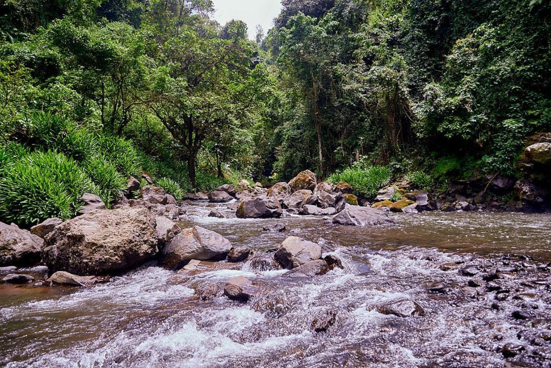 Готель Kilimanjaro Foothills Getaway Моші Екстер'єр фото