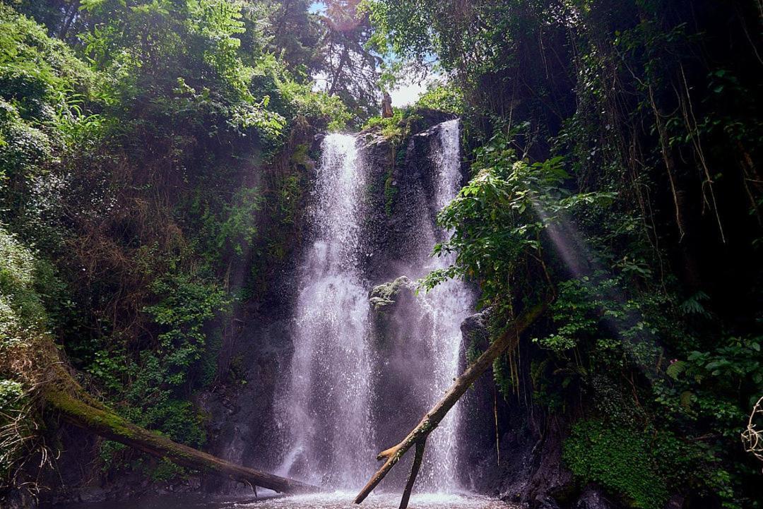 Готель Kilimanjaro Foothills Getaway Моші Екстер'єр фото