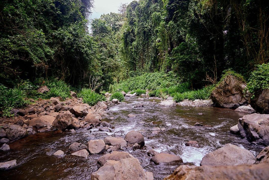 Готель Kilimanjaro Foothills Getaway Моші Екстер'єр фото