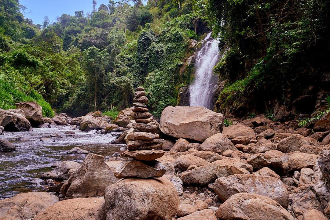 Готель Kilimanjaro Foothills Getaway Моші Екстер'єр фото