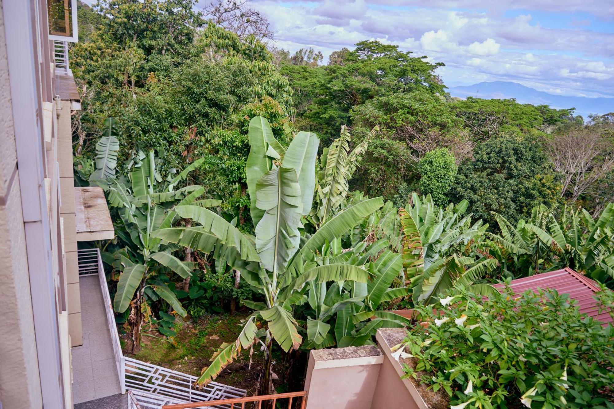 Готель Kilimanjaro Foothills Getaway Моші Екстер'єр фото