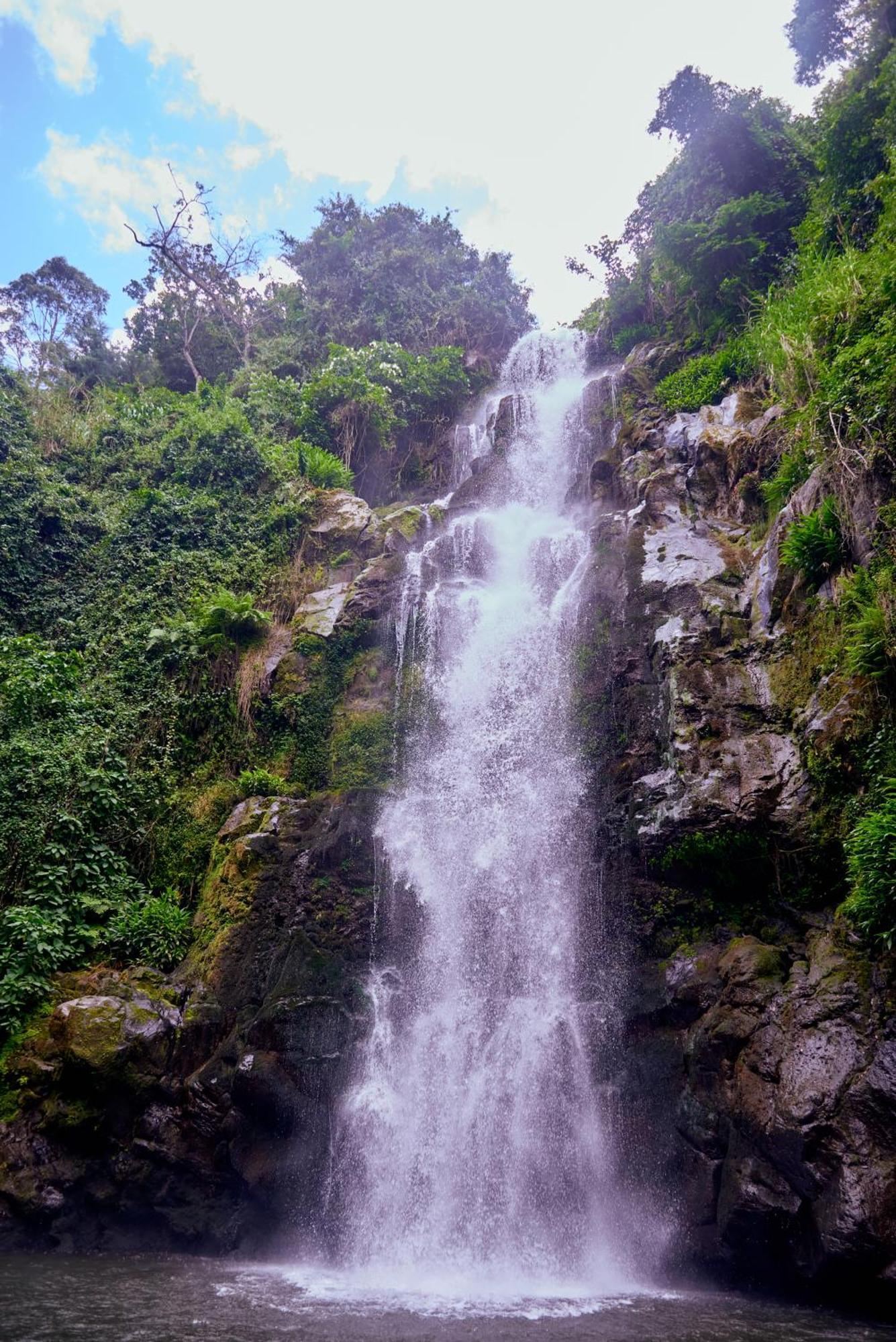 Готель Kilimanjaro Foothills Getaway Моші Екстер'єр фото