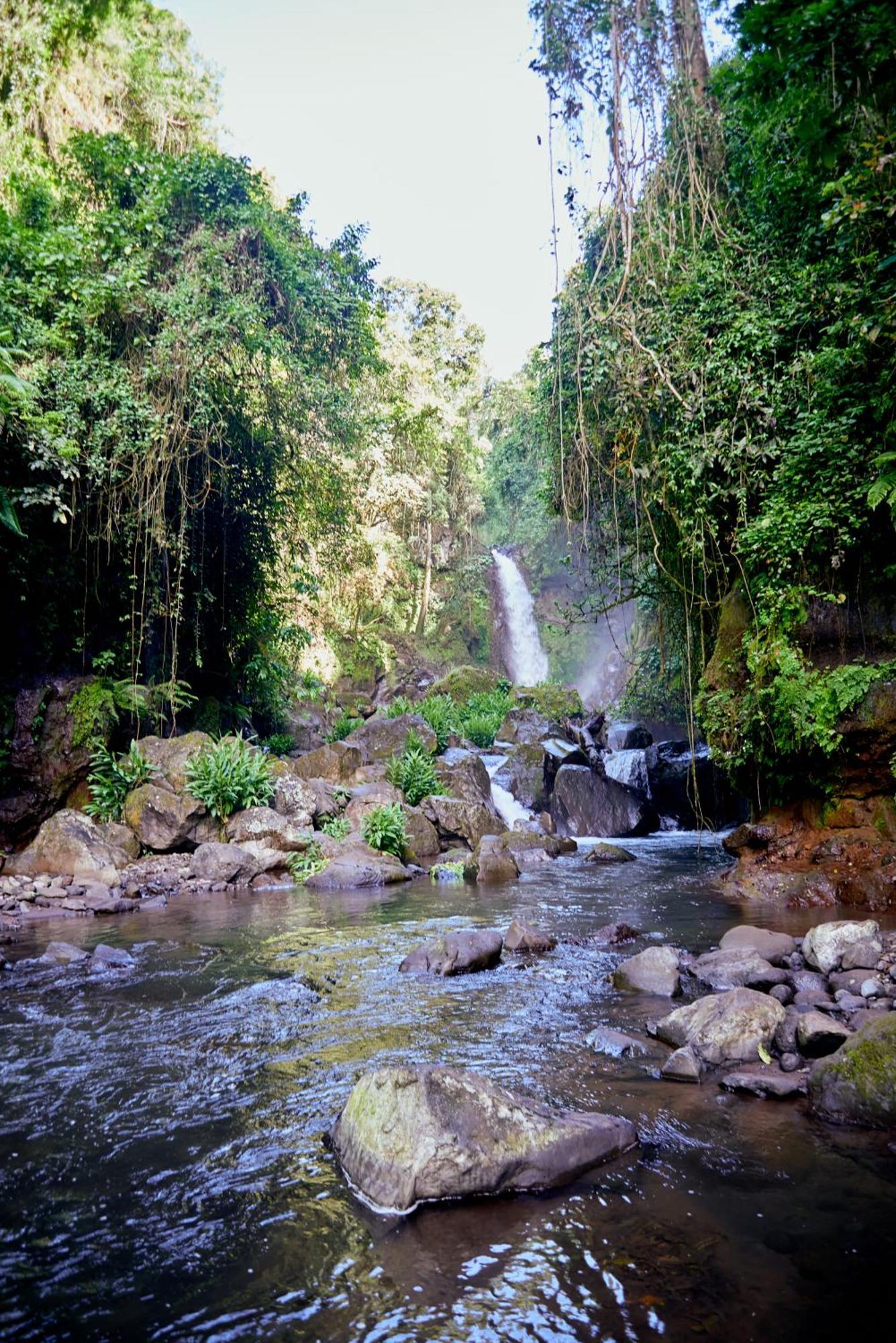 Готель Kilimanjaro Foothills Getaway Моші Екстер'єр фото